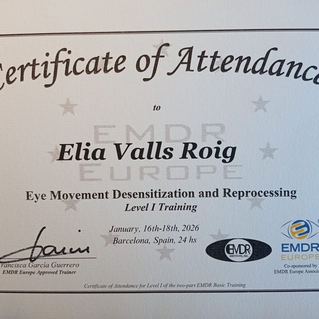 Acercar imagen: certificate 1