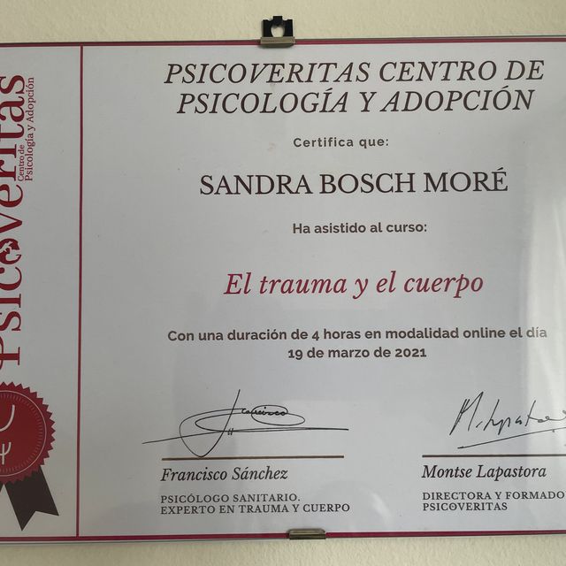 Acercar imagen: certificate 5