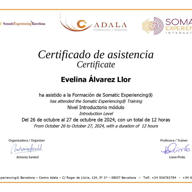 Acercar imagen: certificate 3