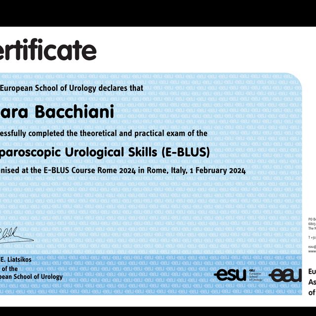 Ingrandire l'immagine: certificate 1