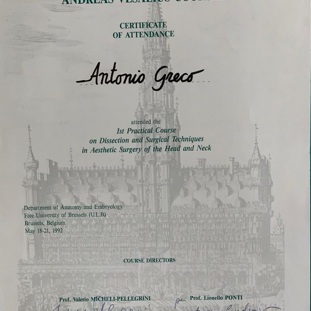 Ingrandire l'immagine: certificate 19