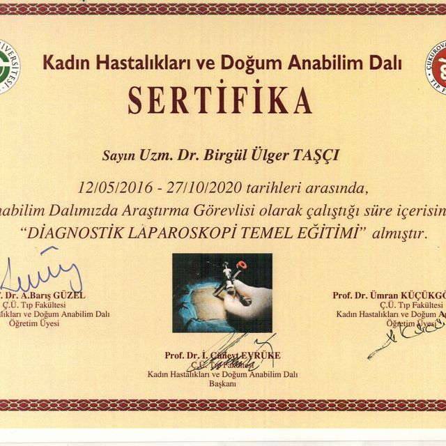Resmi büyüt: certificate 3