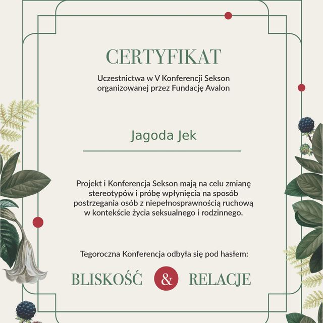 Powiększ obraz: certificate 3