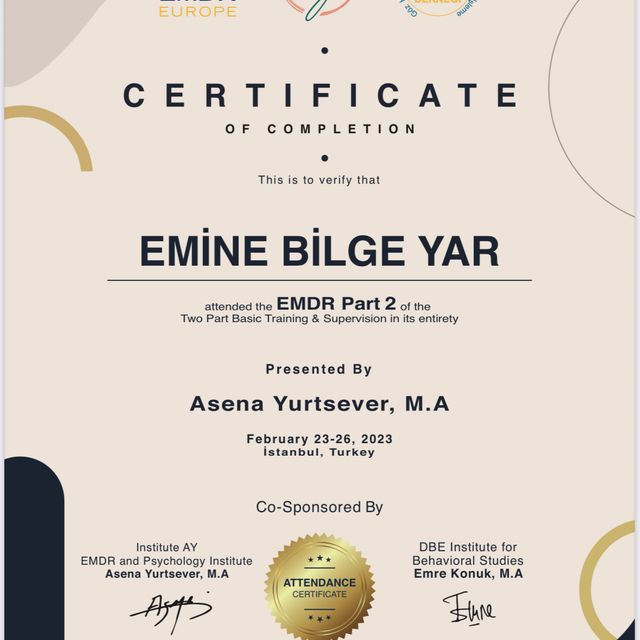 Resmi büyüt: certificate 4