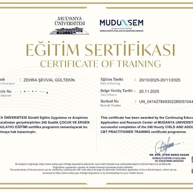 Resmi büyüt: certificate 4