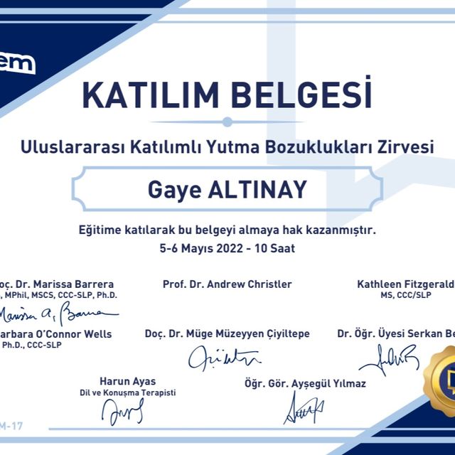 Resmi büyüt: certificate 14