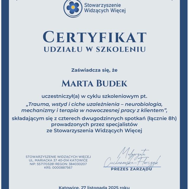Powiększ obraz: certificate 10