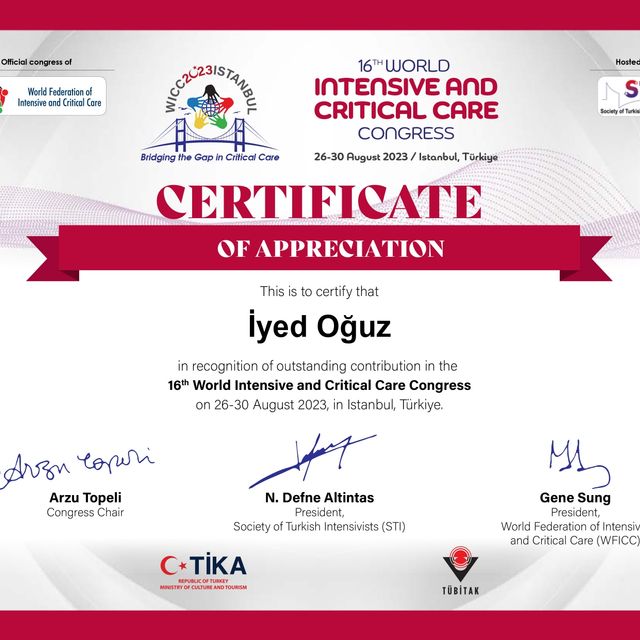 Resmi büyüt: certificate 3