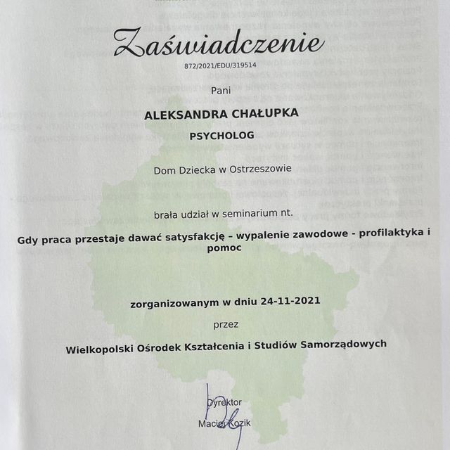 Powiększ obraz: certificate 7