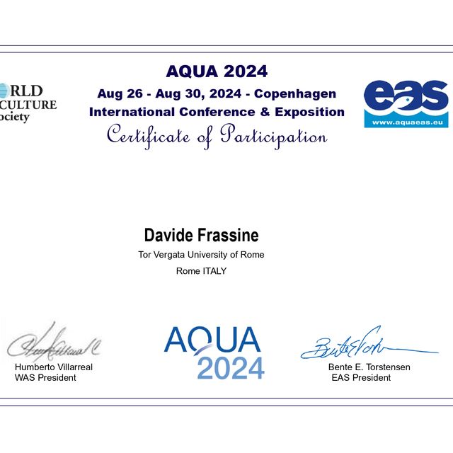 Ingrandire l'immagine: certificate 3