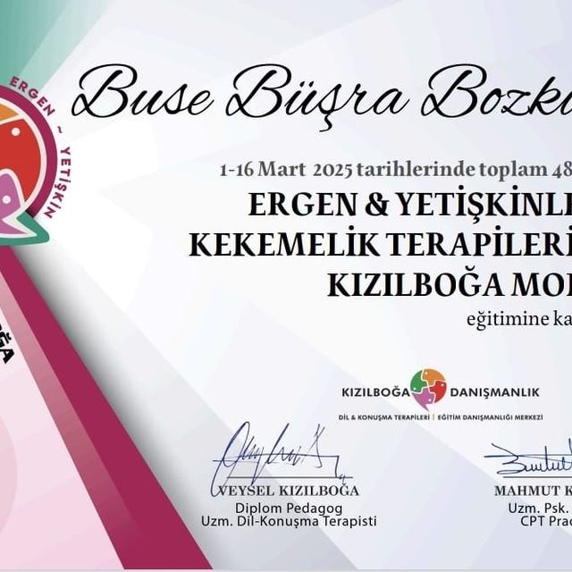 Resmi büyüt: certificate 12