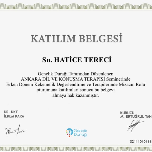 Resmi büyüt: certificate 25