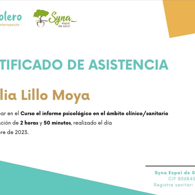 Acercar imagen: certificate 26