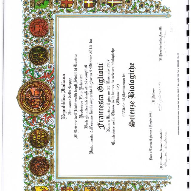 Ingrandire l'immagine: certificate 2