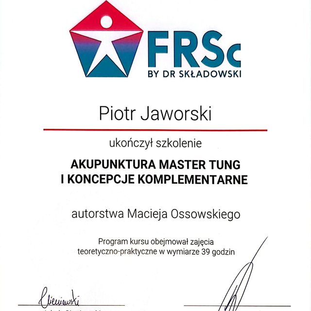 Powiększ obraz: certificate 2