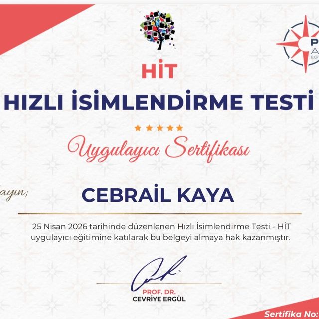 Resmi büyüt: certificate 9