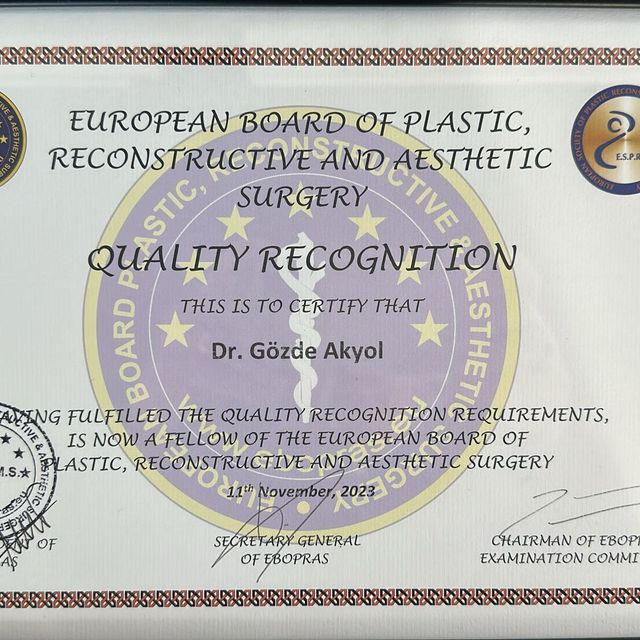 Resmi büyüt: certificate 6