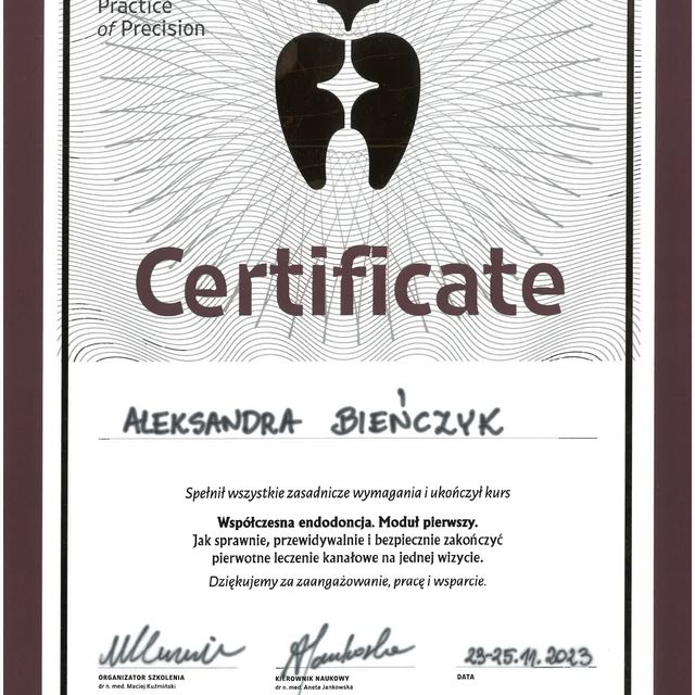 Powiększ obraz: certificate 1