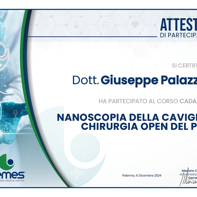 Ingrandire l'immagine: certificate 6