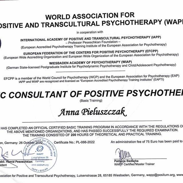 Powiększ obraz: certificate 1