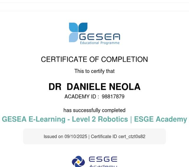 Ingrandire l'immagine: certificate 4