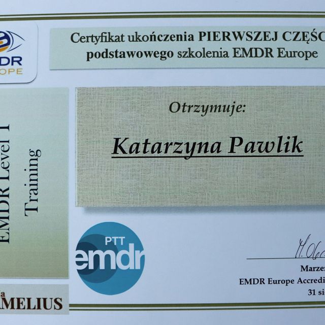 Powiększ obraz: certificate 1