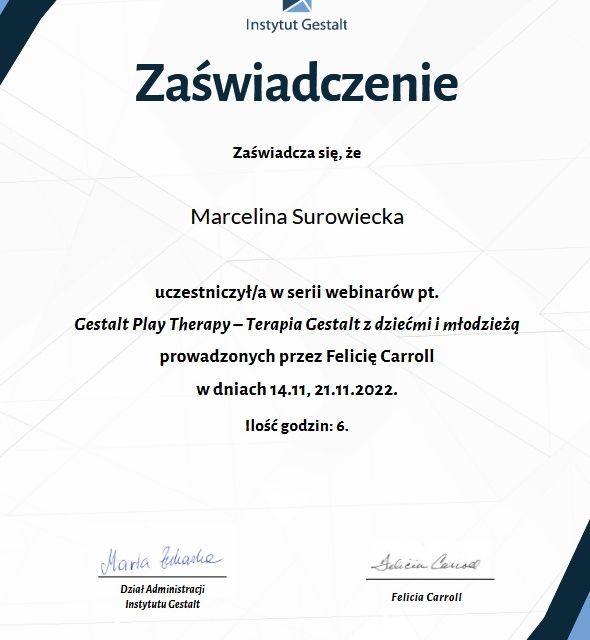 Powiększ obraz: certificate 3