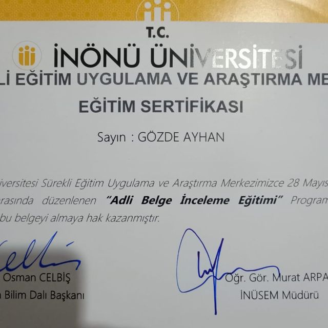 Resmi büyüt: certificate 4