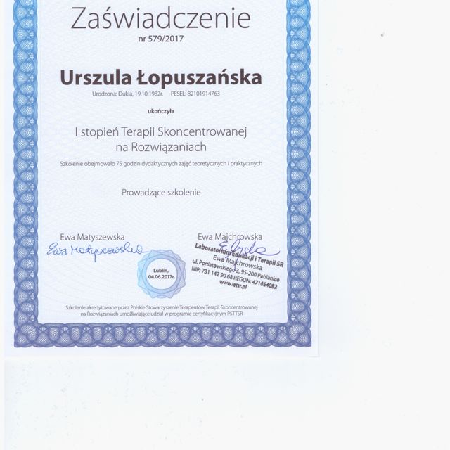 Powiększ obraz: certificate 4
