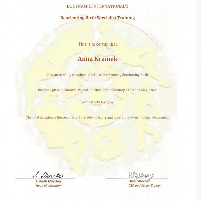 Powiększ obraz: certificate 8