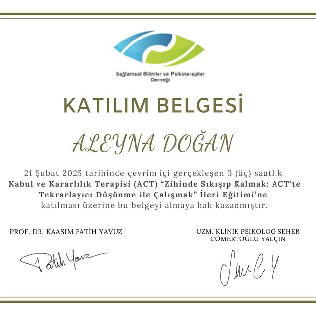 Resmi büyüt: certificate 1