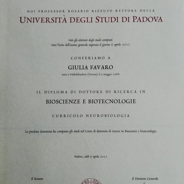 Ingrandire l'immagine: certificate 1