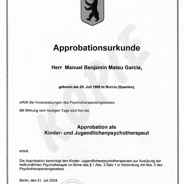 Acercar imagen: certificate 1