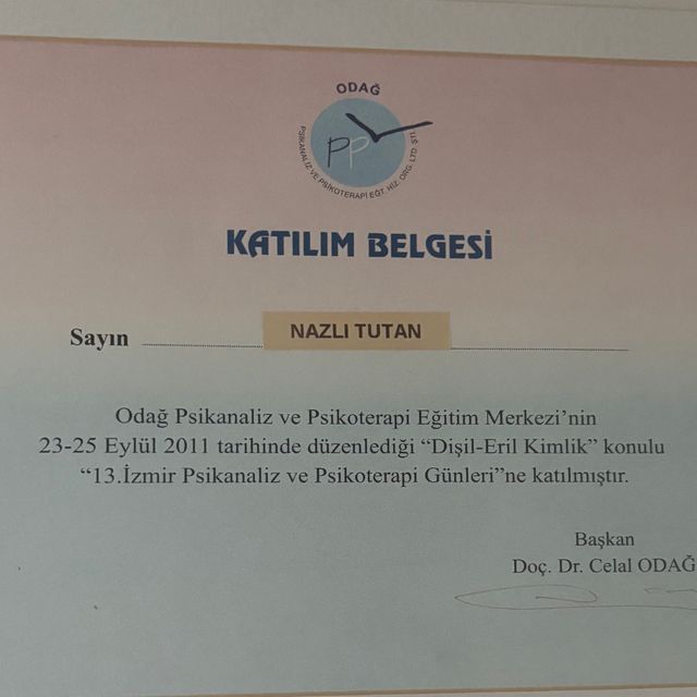Resmi büyüt: certificate 2