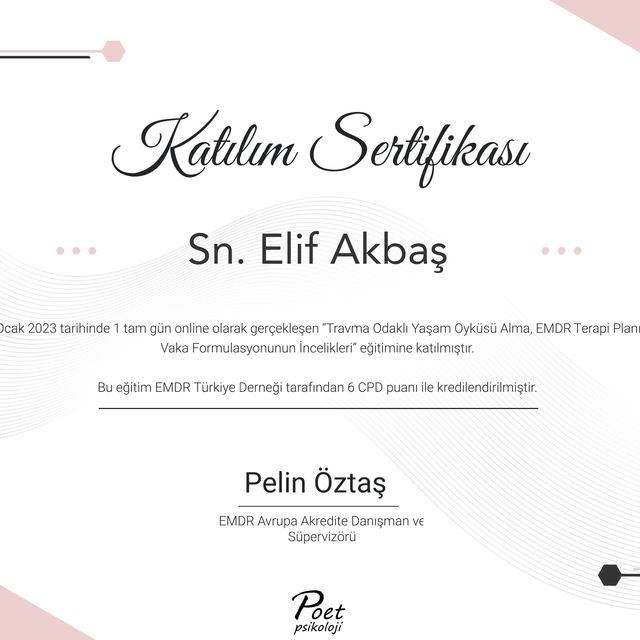 Resmi büyüt: certificate 11