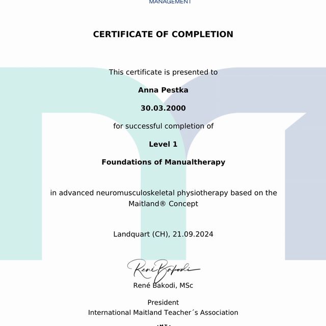 Powiększ obraz: certificate 5