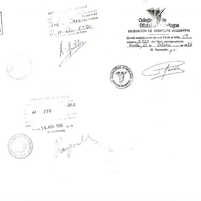 Acercar imagen: certificate 4