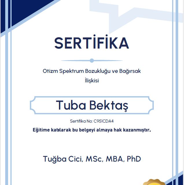 Resmi büyüt: certificate 17