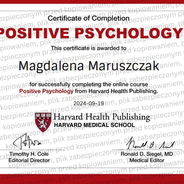 Powiększ obraz: certificate 6