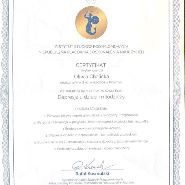 Powiększ obraz: certificate 1