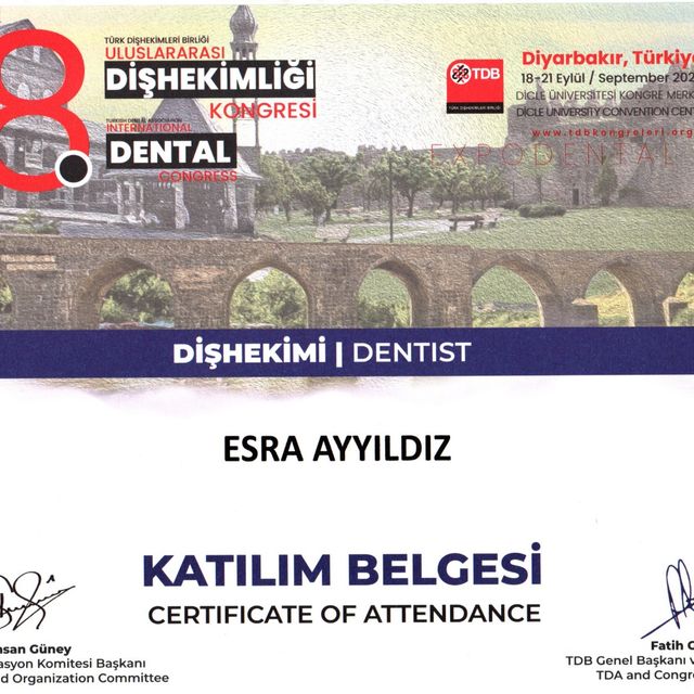 Resmi büyüt: certificate 1