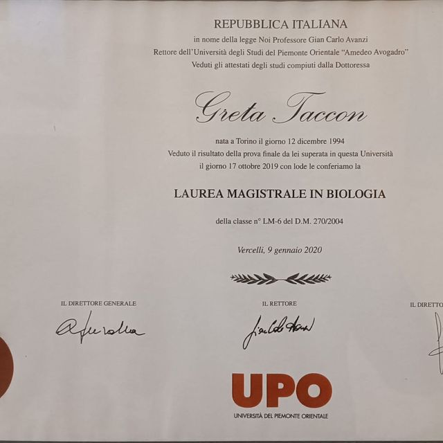 Ingrandire l'immagine: certificate 2
