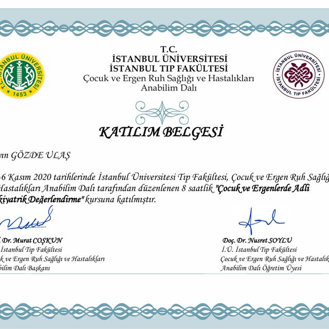 Resmi büyüt: certificate 4