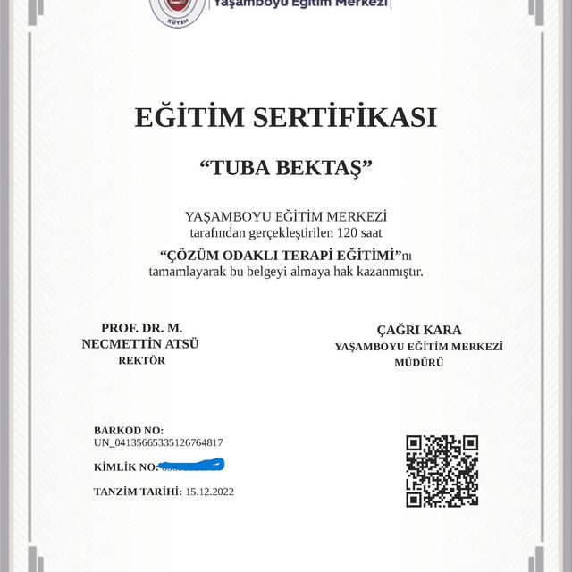 Resmi büyüt: certificate 8