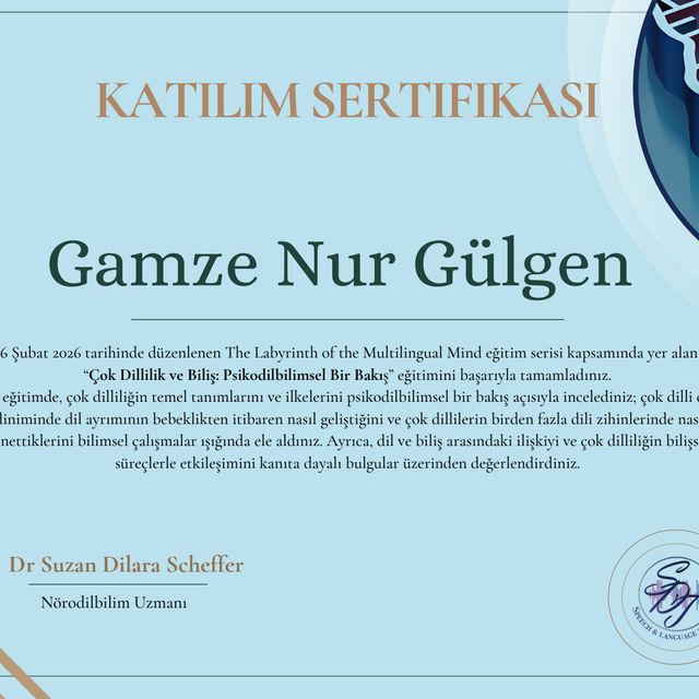 Resmi büyüt: certificate 4