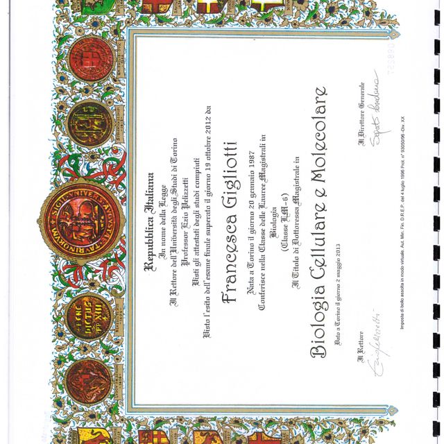 Ingrandire l'immagine: certificate 1