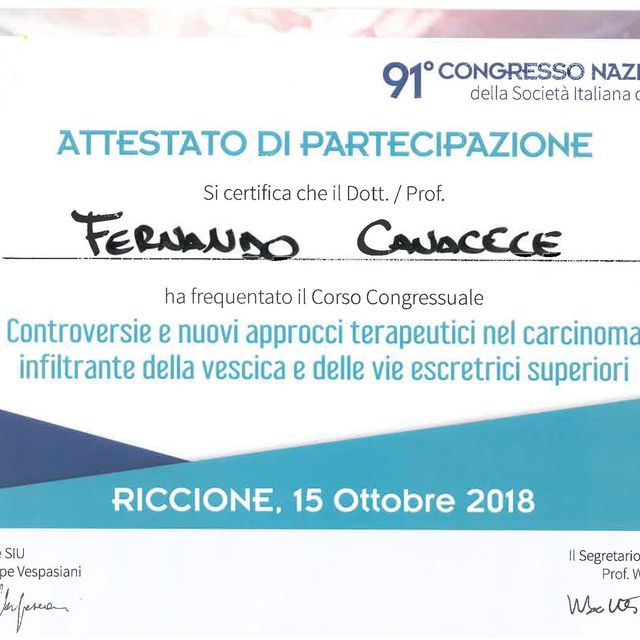 Ingrandire l'immagine: certificate 25