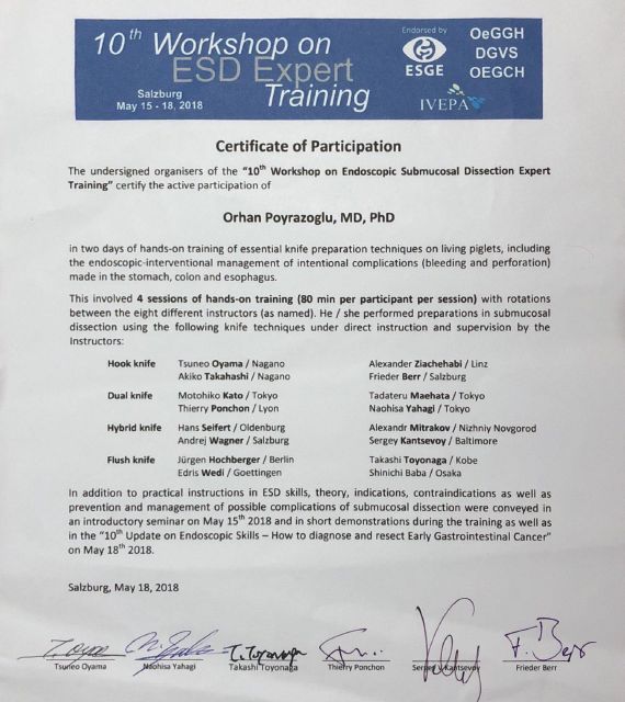 Resmi büyüt: certificate 2