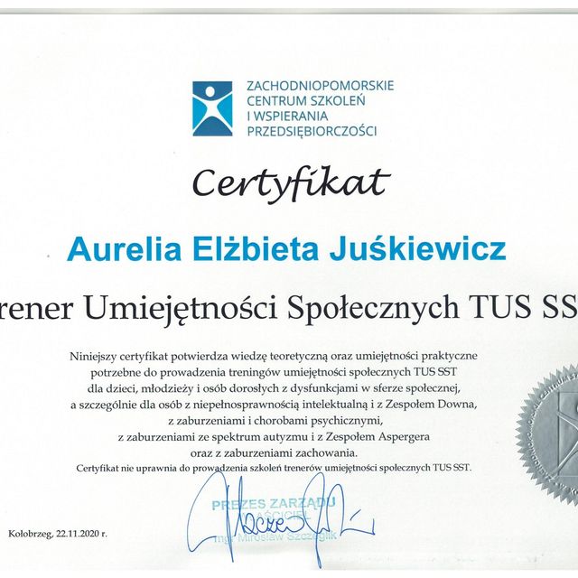 Powiększ obraz: certificate 4