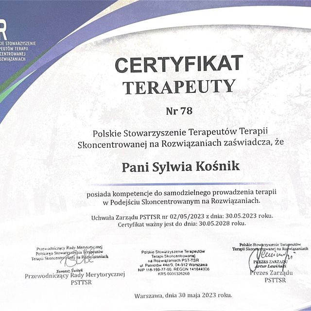 Powiększ obraz: certificate 9